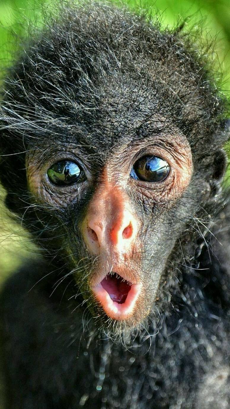 ПРИКОЛЫ))))) смотреть онлайн