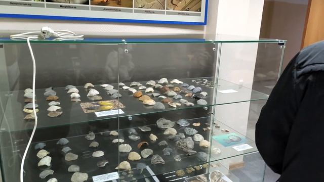 Экскурсия в музее естественной истории. Педагогический институт им. У.Султангазина смотреть онлайн