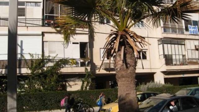 Nordau Tel Aviv смотреть онлайн