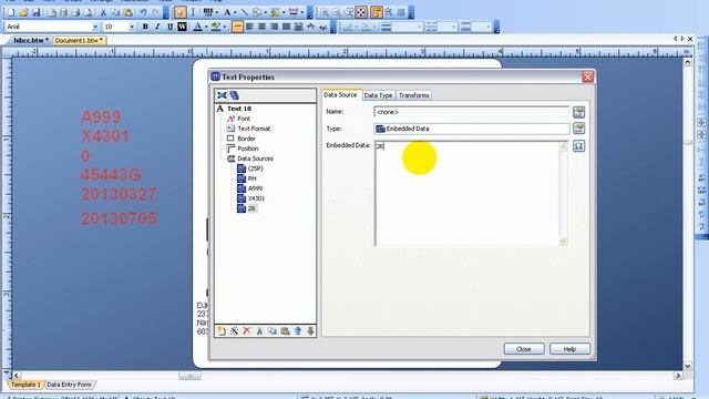 HIBCC 2D Barcode - Adding Human Readable Data смотреть онлайн