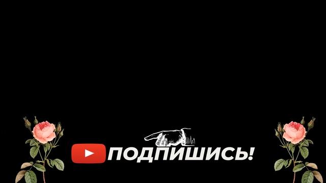 Моушен 2 глава смотреть онлайн