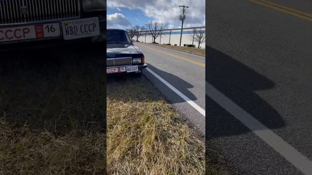 Дохлый вонючий скунс #сша #russianamerica #иммиграция смотреть онлайн