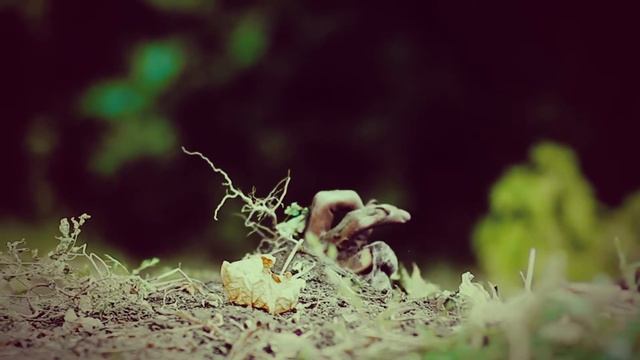 Ролик к премьере спектакля "Невероятная любовь" А. Слаповского смотреть онлайн