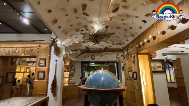 Houston Museum Of Natural Science