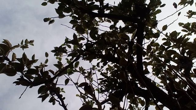 20241002_103115.mp4 смотреть онлайн