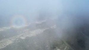 Цитаты великих людей .