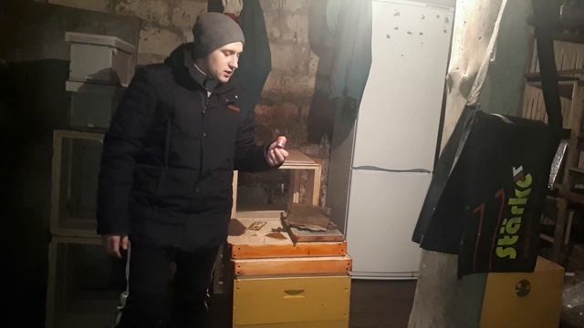 Апирой. Применение и использование в период роенния