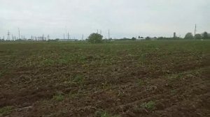 Испытания дисковой бороны БДТ-3 Мтз 82