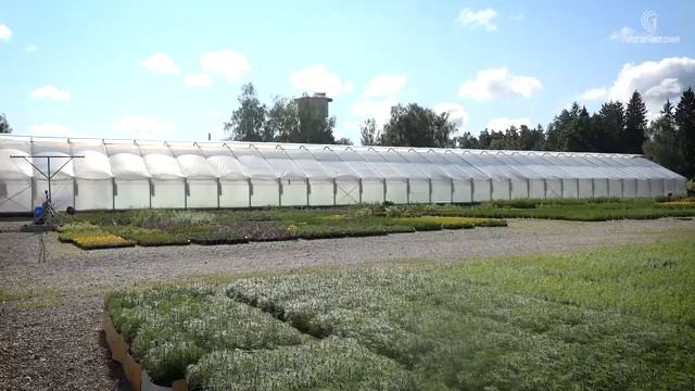 Новые эксперименты по клонированию в Беларуси смотреть онлайн