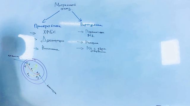 Митральный стеноз. ЧАСТЬ 1 смотреть онлайн
