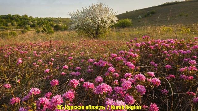 Природа регионов России. Часть 2. (The nature of Russian regions. Part 2). смотреть онлайн