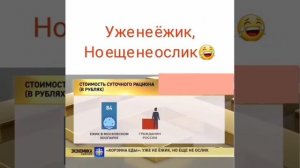 Уже не ежик, но еще не ослик