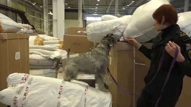 ПТО "Великий камень". Удобное место для бизнеса смотреть онлайн