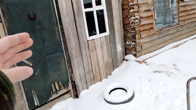 голуби дохнут не хватает еды им смотреть онлайн