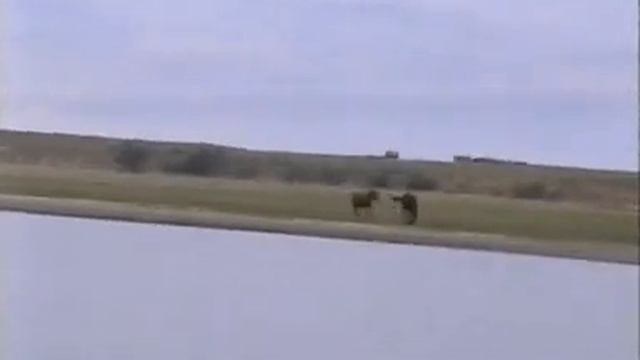 База 77, сентябрь 2002 г. смотреть онлайн