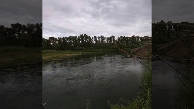 Вечерняя вылазка со спиннингом, встреча безстрашного бобра и подбитой утки! смотреть онлайн