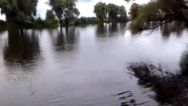 Рыбалка - хищник кормится (Киев) часть 2 смотреть онлайн