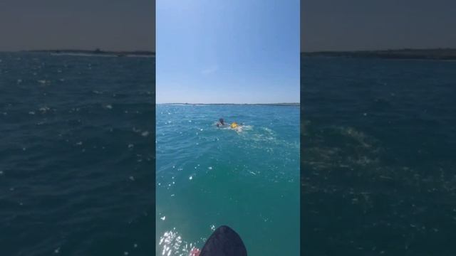 Капелька релакса смотреть онлайн