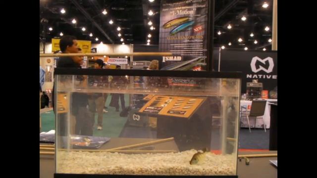 ICAST 2010 Jackall Ninja G2.wmv смотреть онлайн