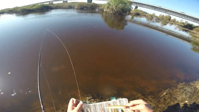 Телега про Abu Garcia Ambassadeur 2500C. Впечатления после сезона.