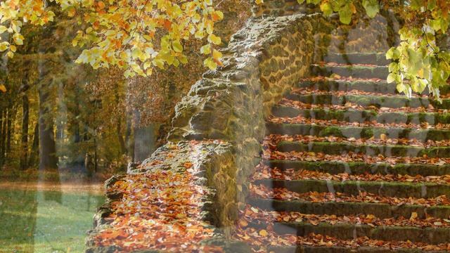 9 variations for piano on a theme from the opera `La molinara` G. Paisiello... - Beethoven смотреть онлайн