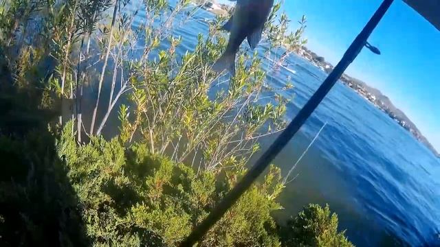 2020 May 16 Ultralight Fishing With Majorcraft Speedstyle And Daiwa Tatula LT