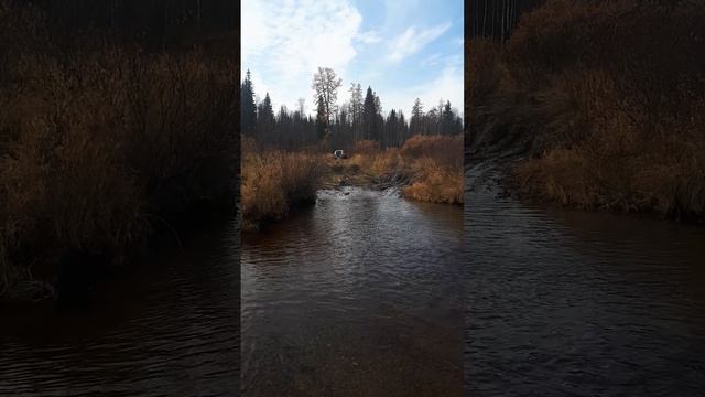 Верховье Ухты смотреть онлайн