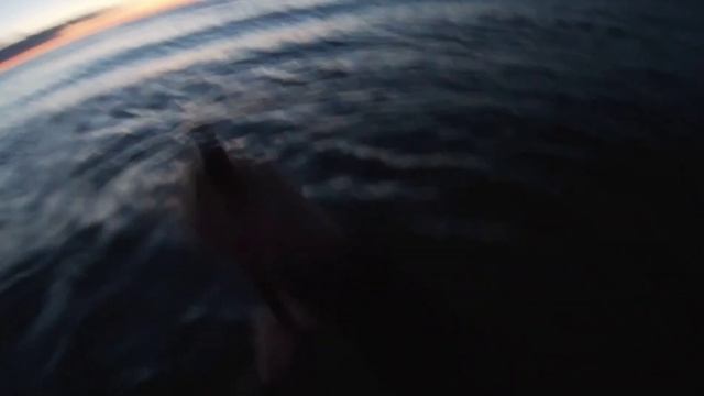 Зорька на баренцухе , ведро рыбы за 2 часа . смотреть онлайн