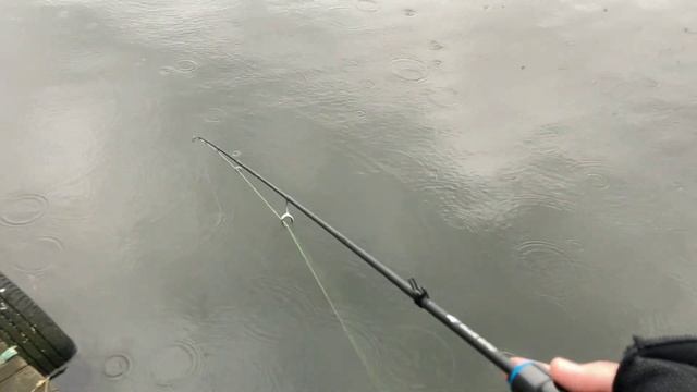 Grube zimowe okonie na Favorite blue bird 0,8-5g | Jak Łowić okonie | смотреть онлайн