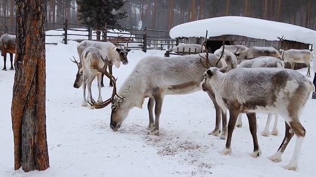 Путешествие на Кольский полуостров
