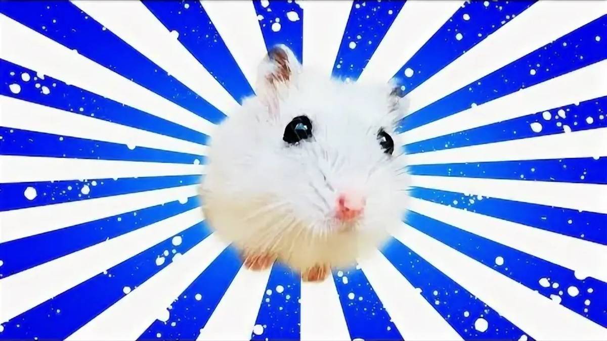 Хомяк в лабиринте и змей.