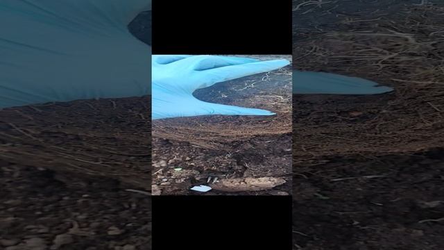 Кладите листья в кашпо! смотреть онлайн