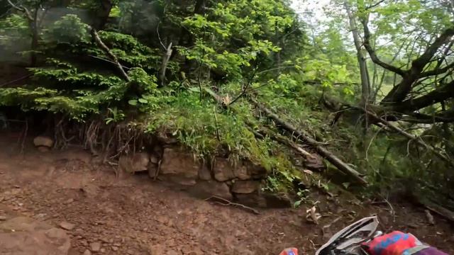 JONNY WALKER - REDBULL ERZBERG RODEO GOPRO
