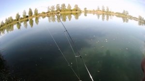 Tsurinoya Jaguar 1000 Perch Fishing
