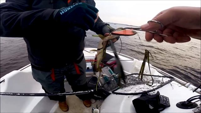 Щучья рыбалка. Рыбалка с лодки на щуку #neptunFishingLV смотреть онлайн