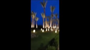 Sharm Grand Plaza Resort 5* - Египет, Шарм-Эль-Шейх