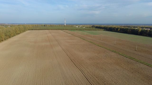 дипхаус Deephaus приятная музыка. хабсан зино