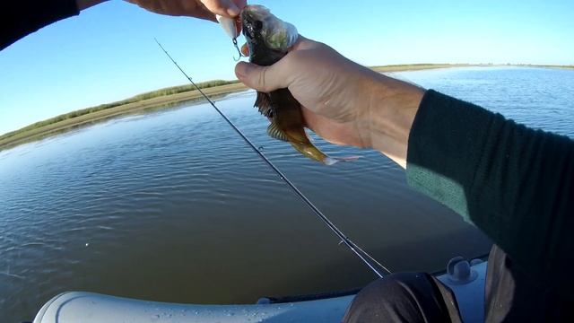 Ловля окуня на волкер Owner Cultiva Zip-n-Ziggy