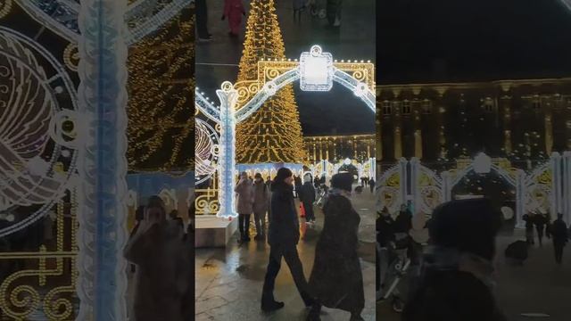 Красавеца ёлка в Белгороде. Декабрь 2023 год. смотреть онлайн