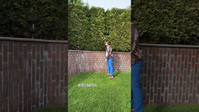 ЛАНДШАФТНЫЙ УЧАСТОК В МИЛЛЕНИУМ ПАРКЕ ЗА 320 000 000 ₽ #элитнаянедвижимость #новорижскоешоссе смотреть онлайн