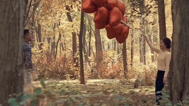 Жыпар Исабаева-"Бир кечте Бегимай" Адылбекова #аудио смотреть онлайн