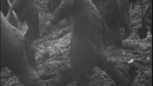 Вторая мировая день за днём 07