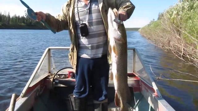 Щука 115см 1часть.MOV смотреть онлайн