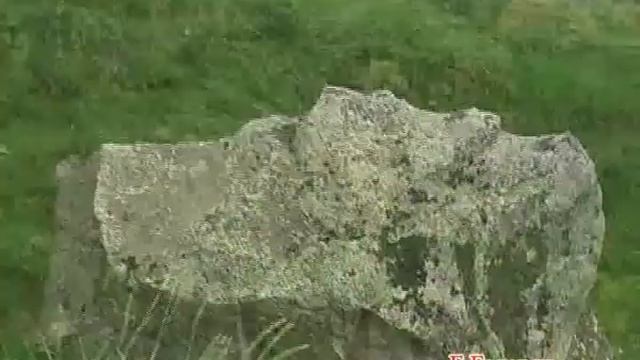 Ezidskoe Selo Baysz (Armenia).mp4