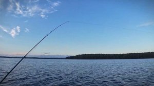 РЫБАЛКА НА СУДАКА. ОЗЕРО СЯМОЗЕРО 2024.