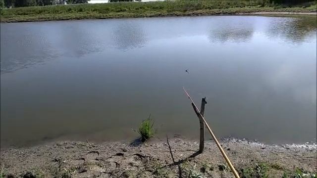 Рыбалка на искусственном водоеме. смотреть онлайн