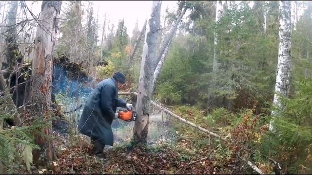 Рыбалка с батей. Каргопольский р-он. Осень 2023 смотреть онлайн