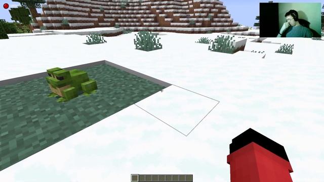 10 ИНТЕРЕСНЫХ ФАКТОВ О ЛЯГУШКАХ В МАЙНКРАФТЕ | ФАКТЫ В МАЙНКРАФТЕ смотреть онлайн