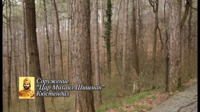 Живот отдаден на гората смотреть онлайн