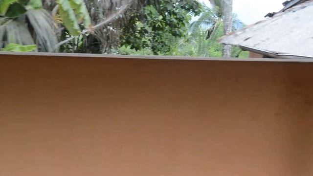 Поезд Шри Ланка Коломбо Канди смотреть онлайн